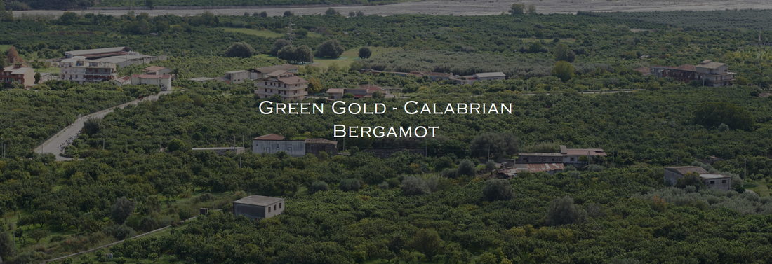 Green Gold - Calabrian Bergamot