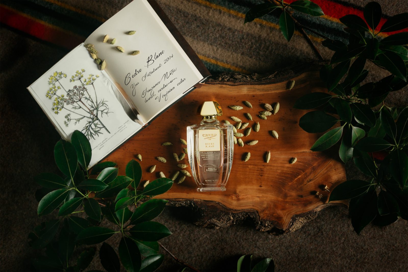CREED オードパルファムアクアセードルブラン100ml Creed Aqua Originale Cedre Blanc - Moustapha AL-Labban & Sons
