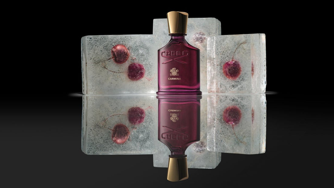 Carmina with frozen cherries ice blocks in the background