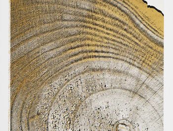 a tree's rings