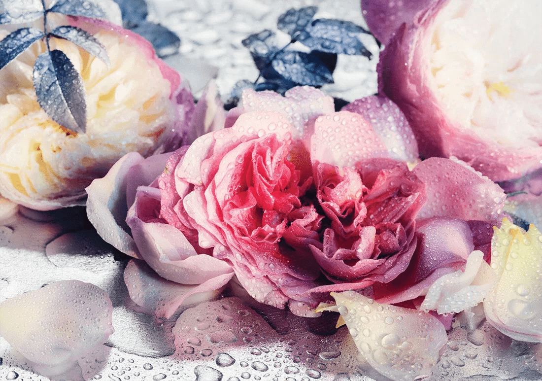 Roses 