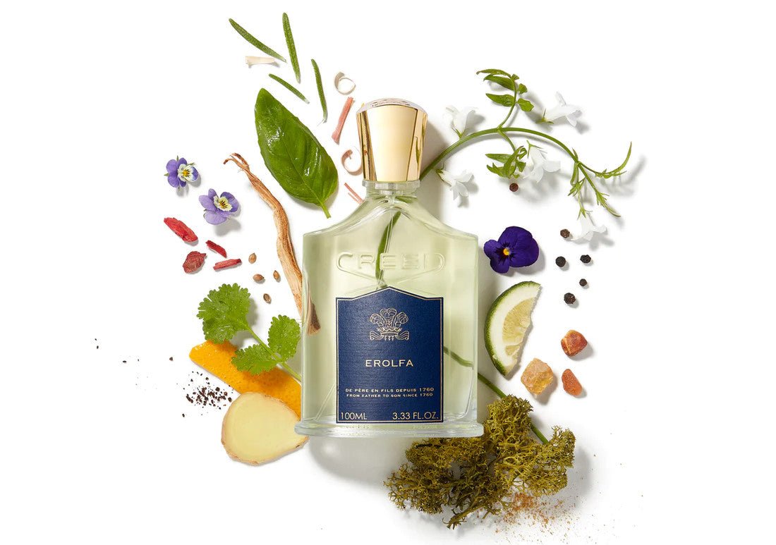 Erolfa Perfume Pyramid Ingredients