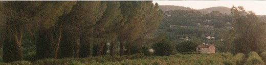 Fragrance For The Future: Creed's Sustainability Story