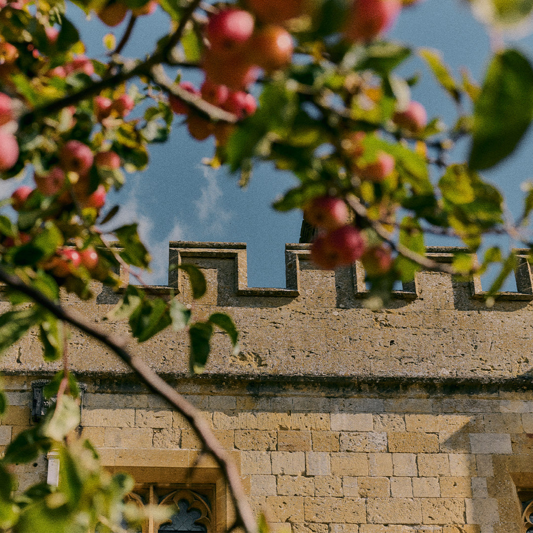Apple tree with red apples in front of a stone building