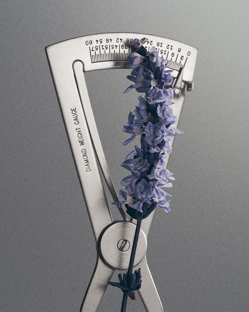 A silver diamond weight gauge with a purple lavender flower pressed into its center, set against a solid gray background.