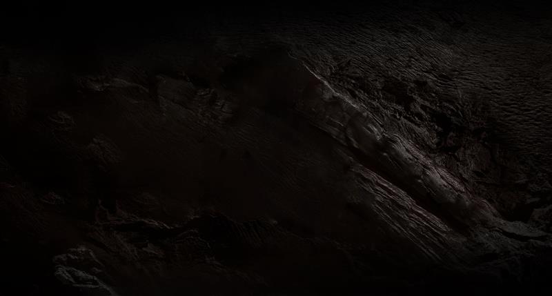 Dark, textured surface with a woody like appearance