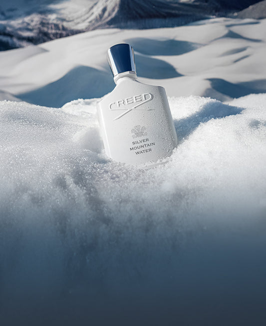 Impressions In The Snow​