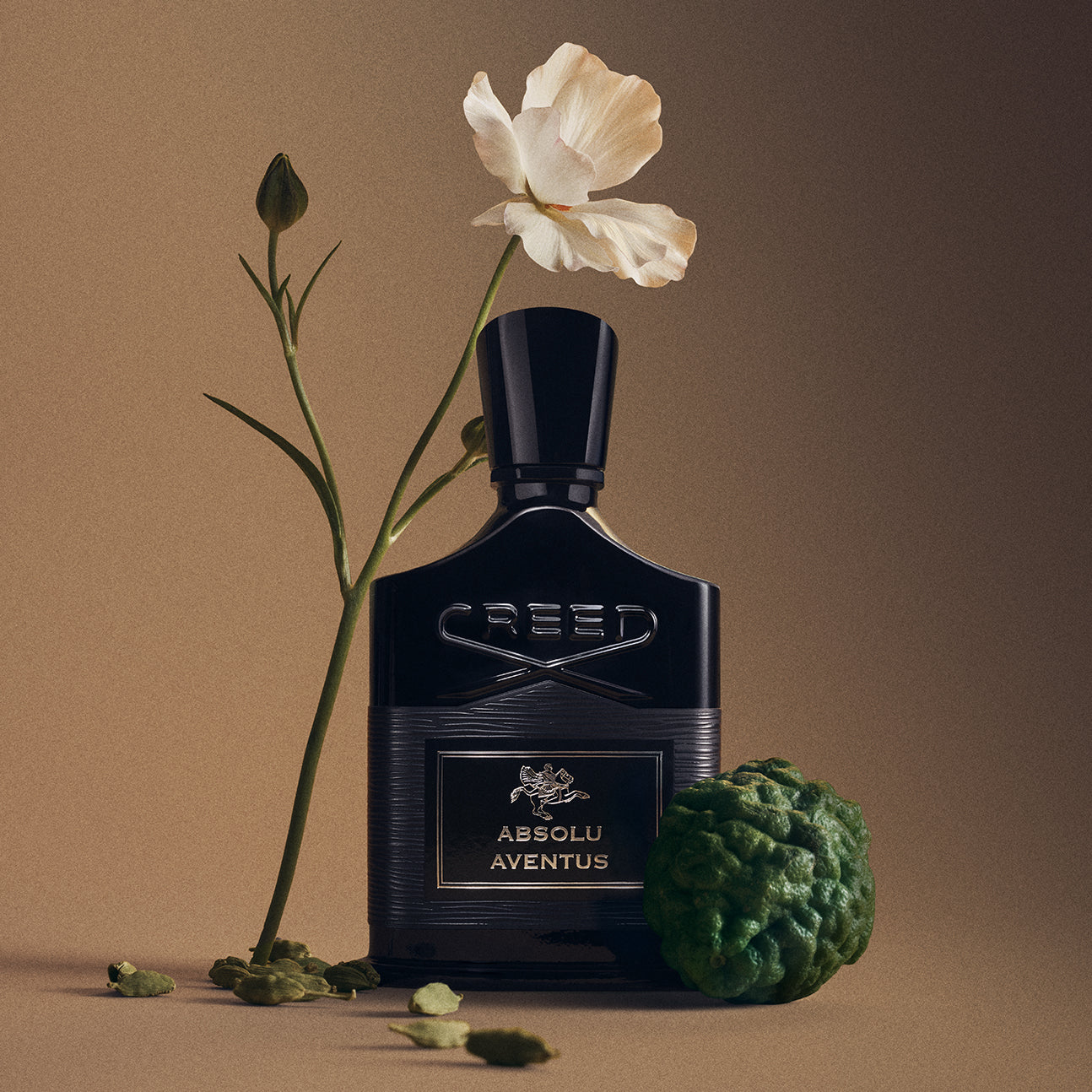Creed Absolu Aventus 100ml伊勢丹購 入正規品ほぼ未使用 Absolu Aventus | Men's Woody Fragrance | Dry Woods, Fresh, Citrus