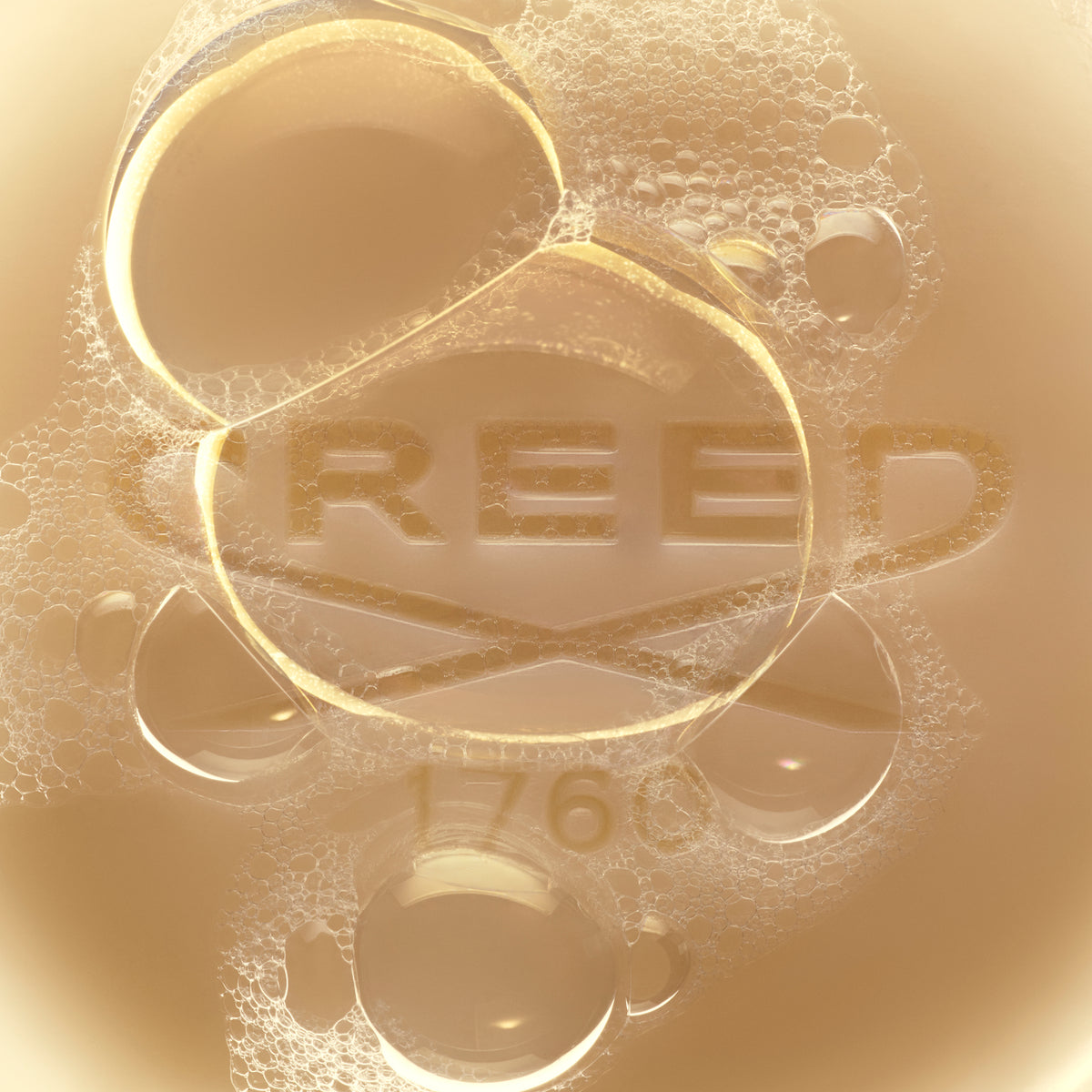 Gold logo with 'REED' text on a textured gold background