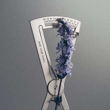 Iris Debonair