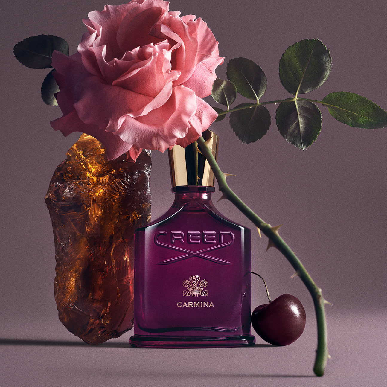 Carmina | Women's Floral Amber Fragrance | Woody & Musk | Creed
