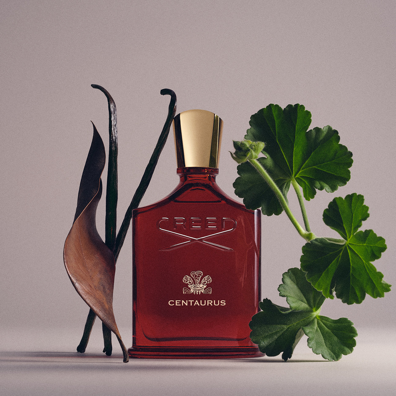 Centaurus | Unisex Woody Amber Fragrance | Tobacco & Spice | Creed
