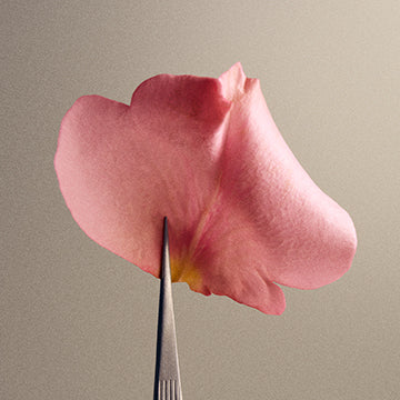 A single pink flower petal held upright by a metal pin against a plain warm gray background.