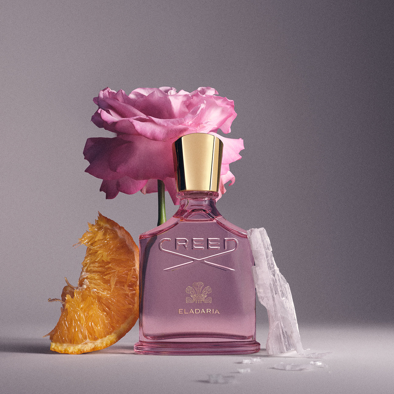 Eladaria | Women's Floral Fragrance | Modern Rose Perfume | Creed