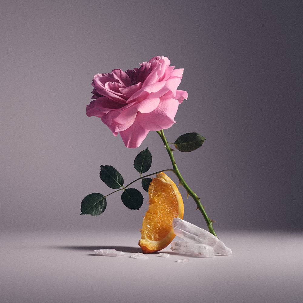 Eladaria | Women's Floral Fragrance | Modern Rose Perfume | Creed