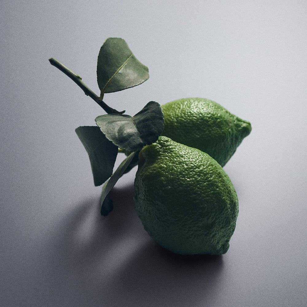 Green Irish Tweed | Men's Fresh Aromatic Fragrance | Green & Mossy