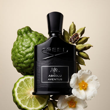 Absolu Aventus