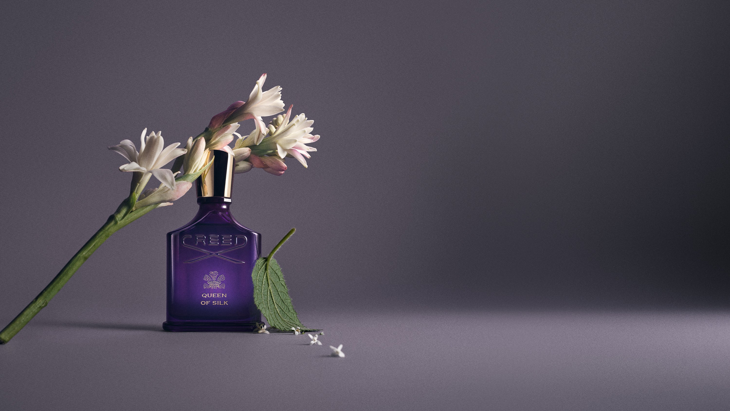 Queen of Silk | Women's Floral Amber Fragrance | White Flowers