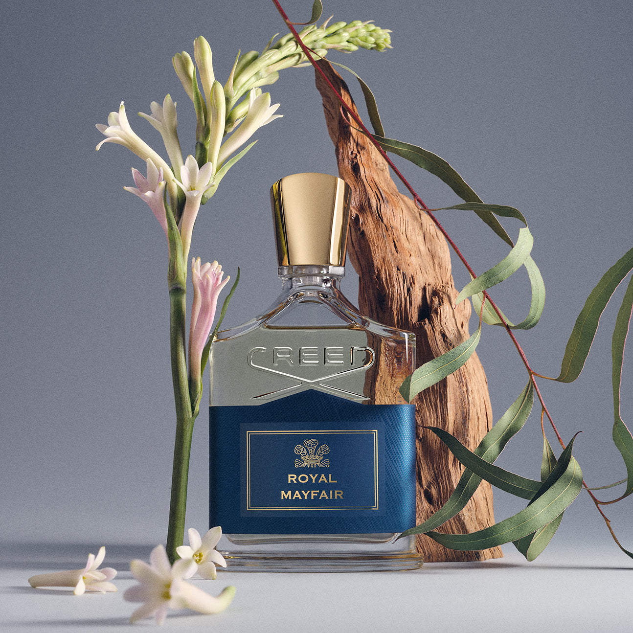 Royal Mayfair | Unisex Woody Fragrance | Floral & Fresh | Creed