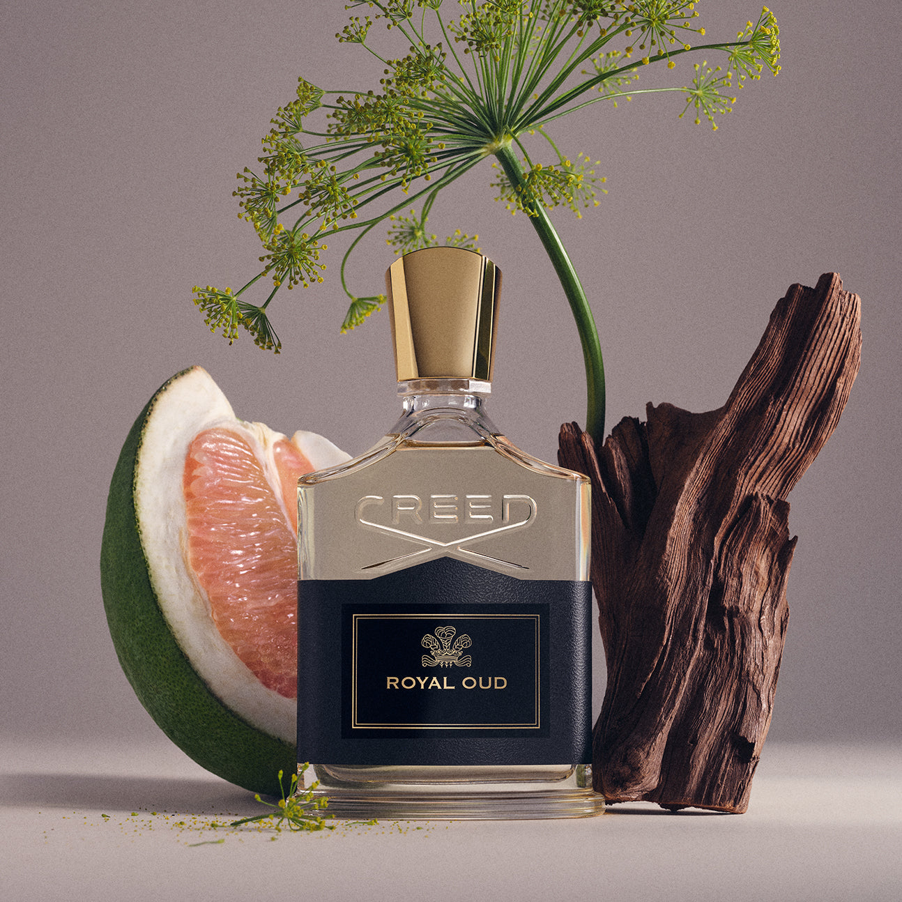 Royal Oud | Unisex Woody Fresh Fragrance | Citrus & Smoky Oud
