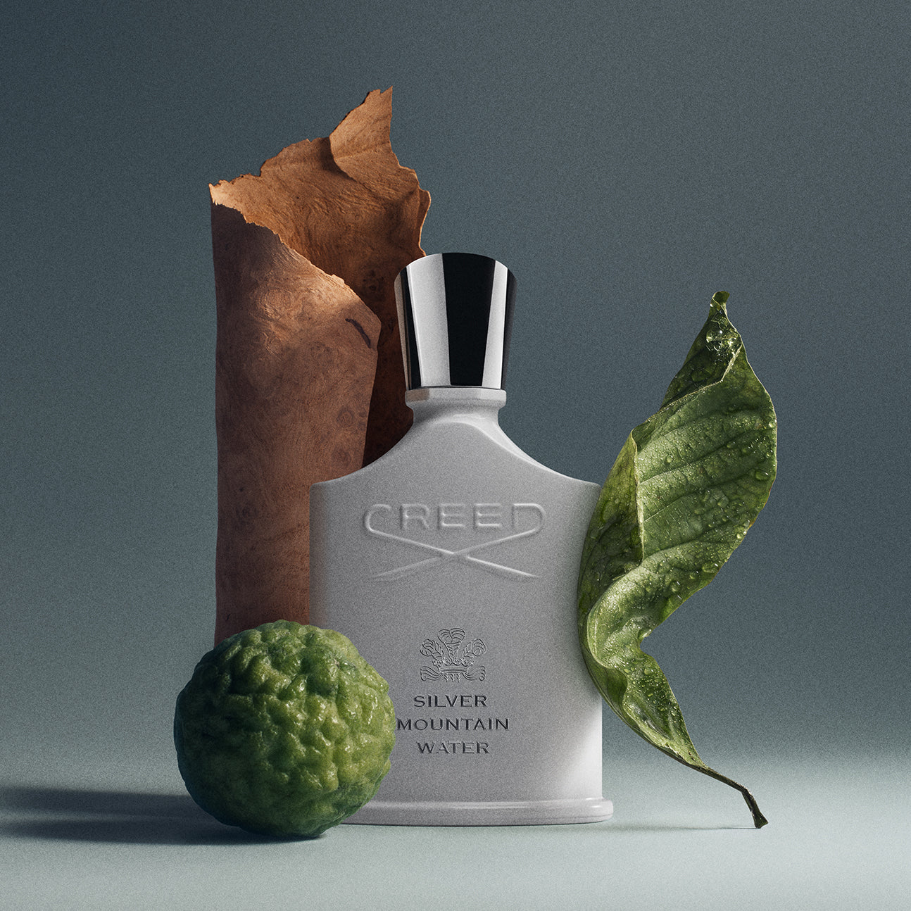 Silver Mountain Water | Unisex Fresh Citrus Fragrance | Fruity