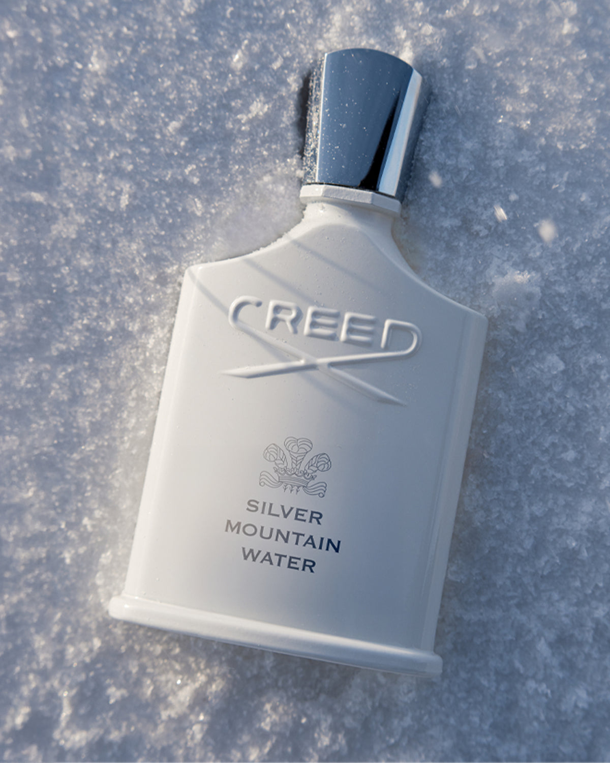 Silver Mountain Water by Creed