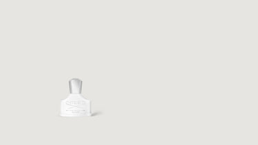 Silver Mountain Water