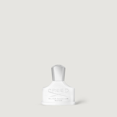 Silver Mountain Water