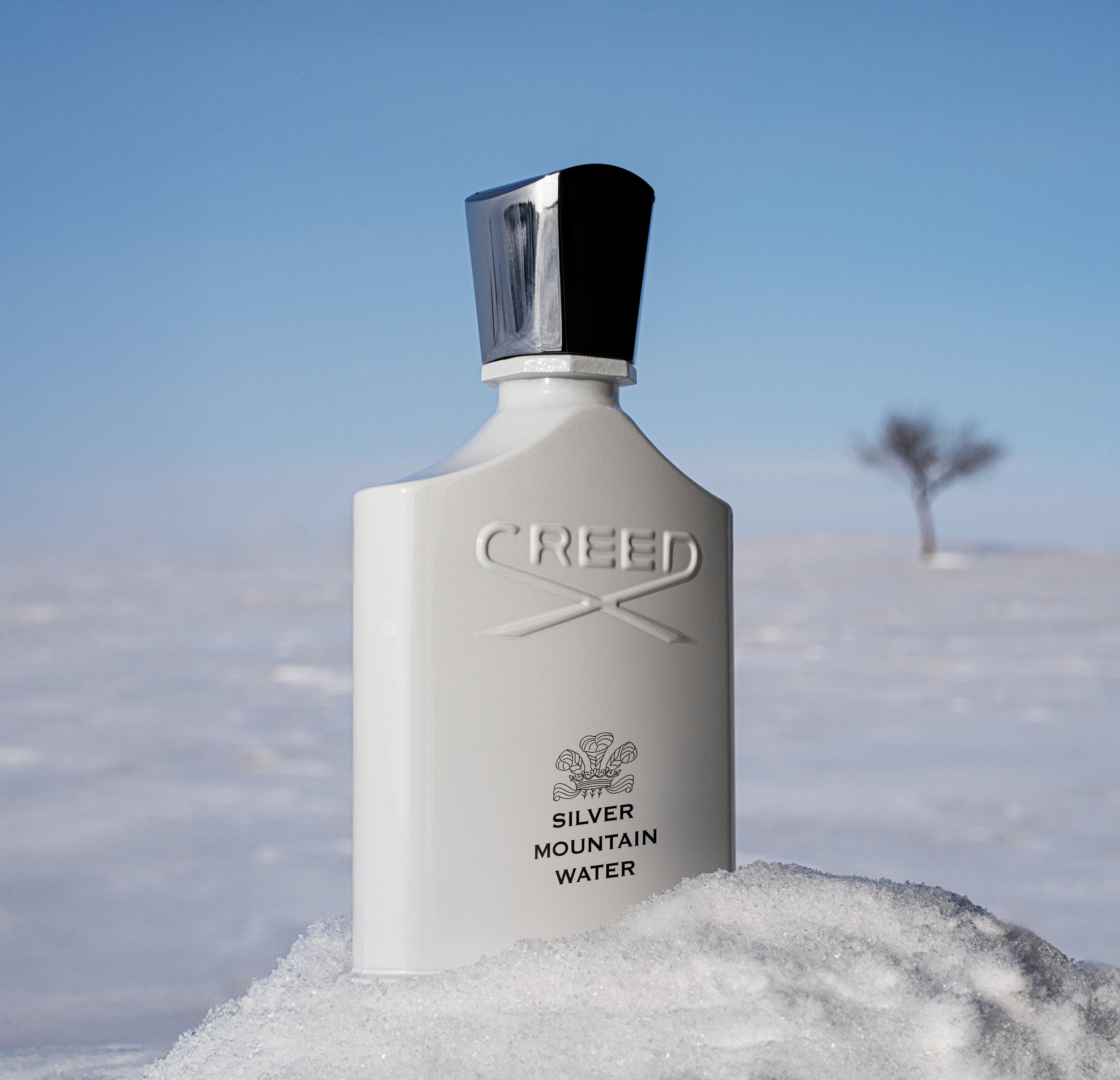 香水(ユニセックス) CREED SILVER MOUNTAIN WATER 50ML Silver Mountain Water | Unisex Fresh Citrus Fragrance | Fruity