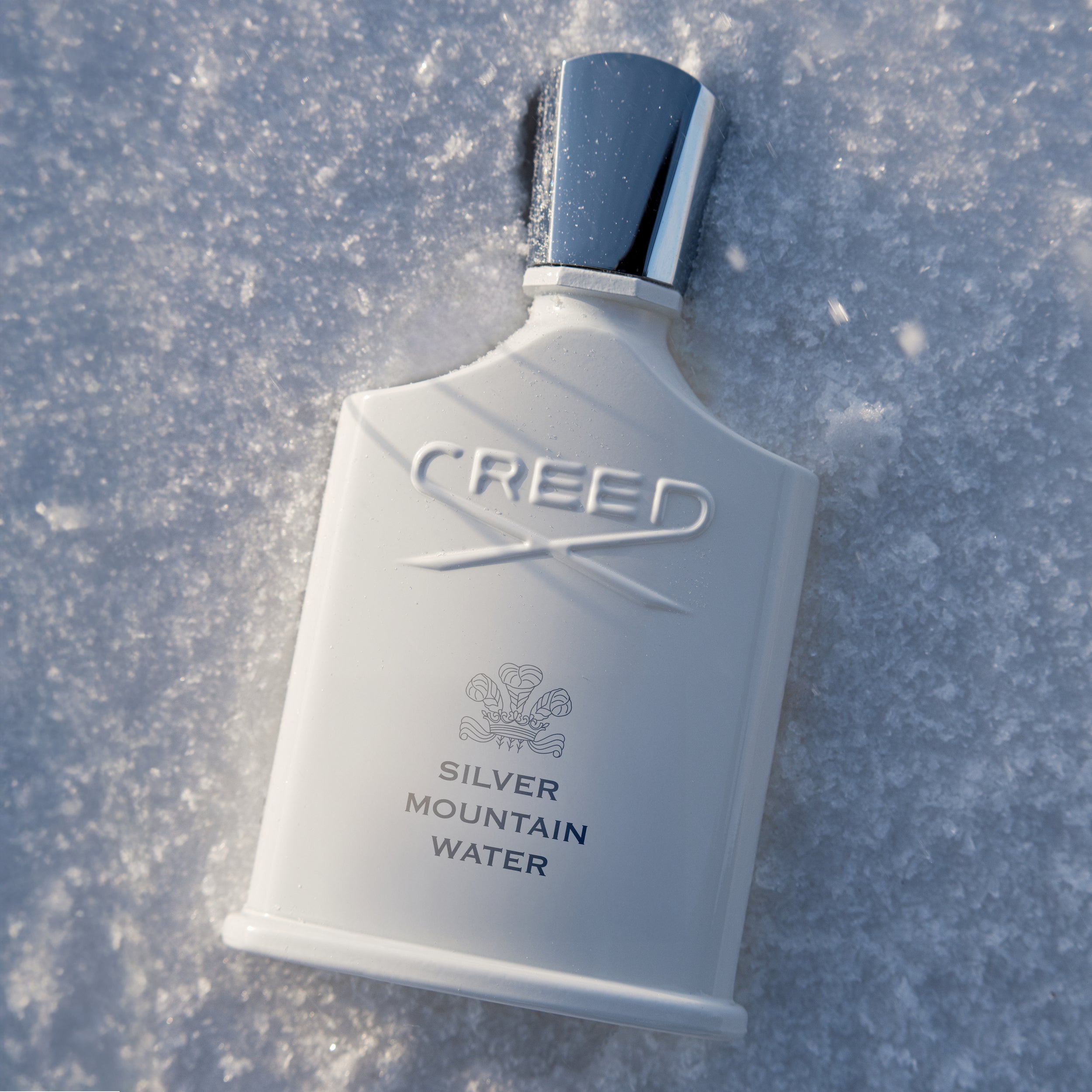 Silver Mountain Water | Unisex Fresh Citrus Fragrance | Fruity