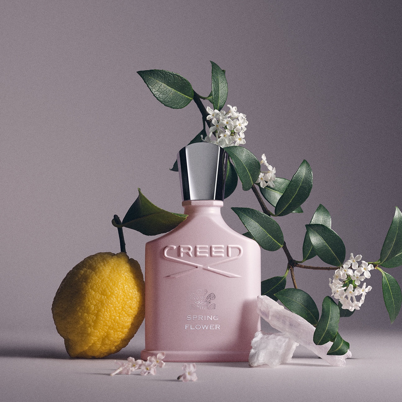 Spring Flower | Women's Floral Fresh Fragrance | Fruity & Soft