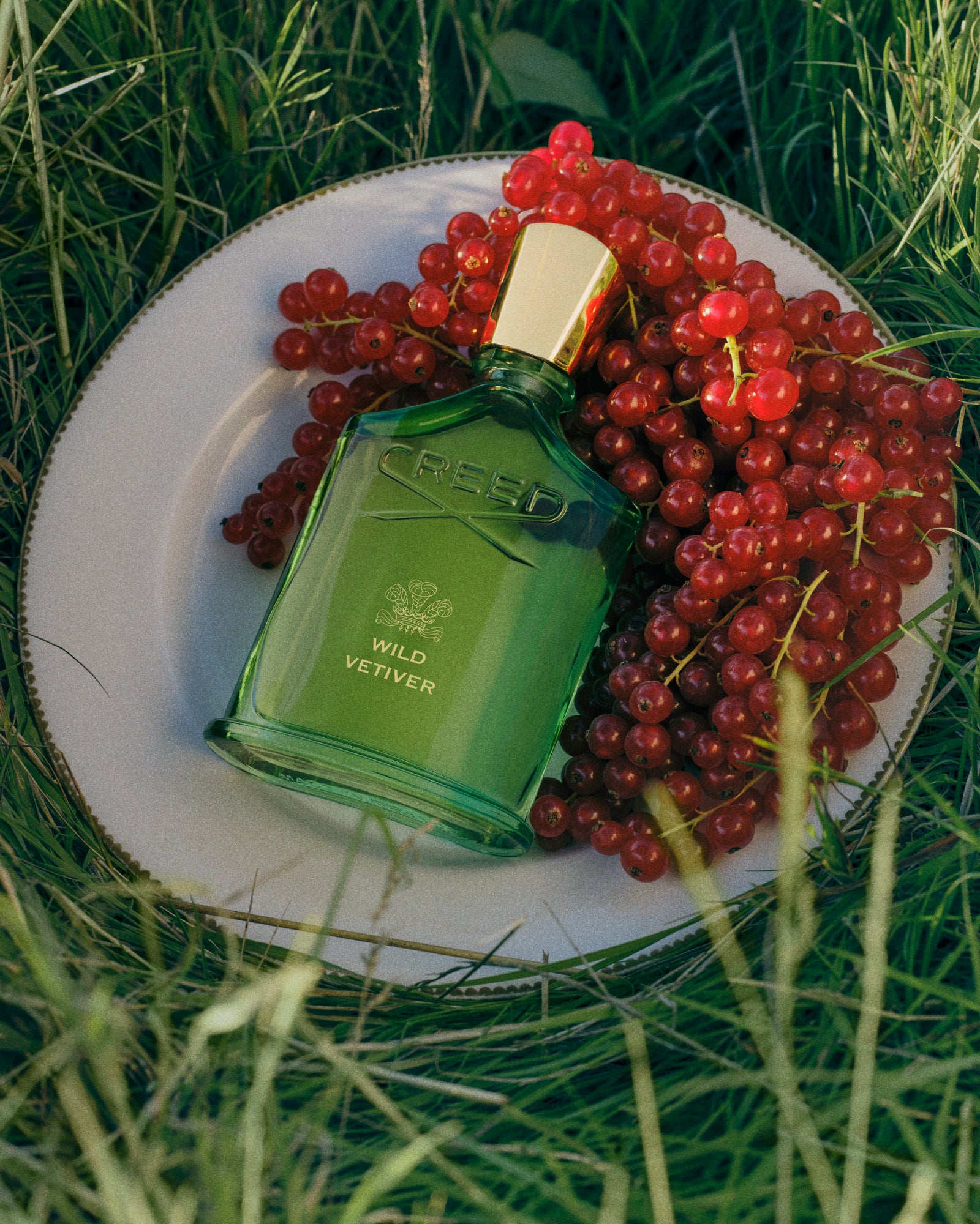 Wild Vetiver | Unisex Woody Floral Fragrance | Vetiver Perfume