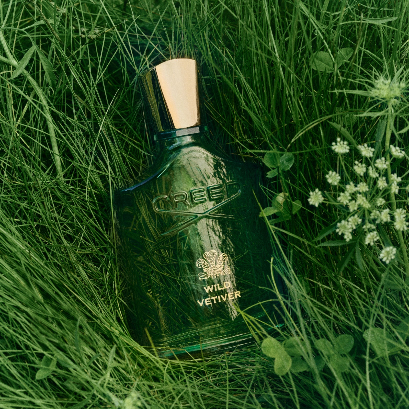Wild Vetiver | Unisex Woody Floral Fragrance | Vetiver Perfume