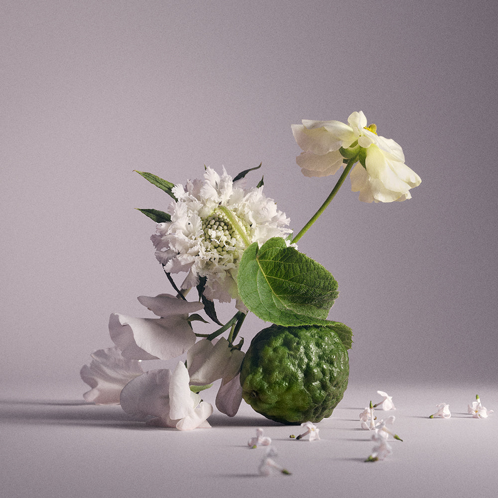 Wind Flowers | Women's Floral Amber Fragrance | Gourmand Perfume
