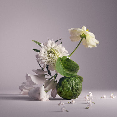 Wind Flowers
