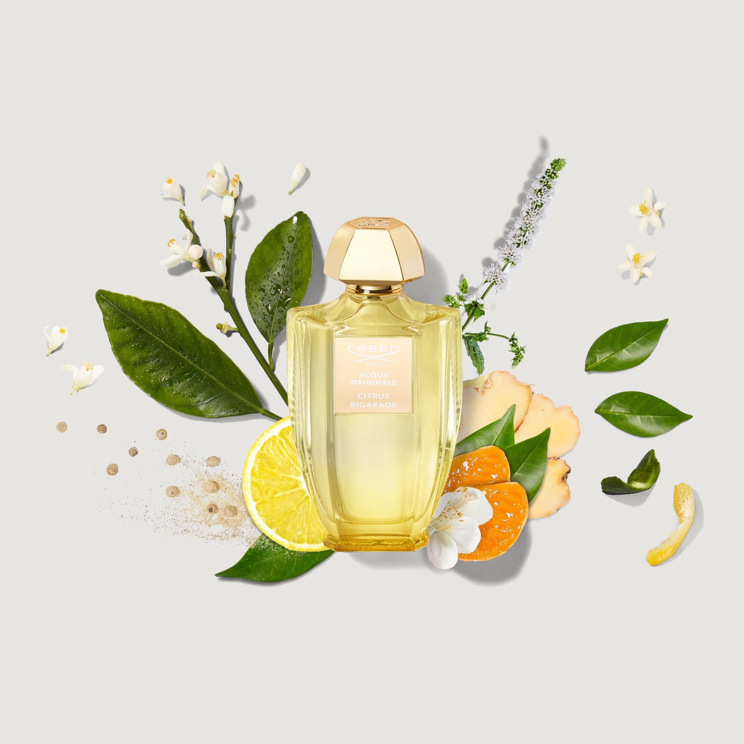 Citrus perfume hot sale